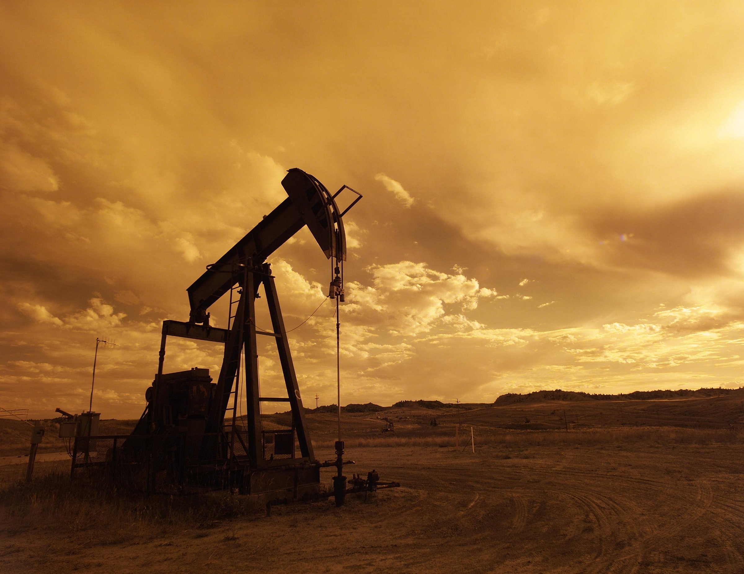 OPEC: Oil prices will rise to $ 40 in the second half of 2020