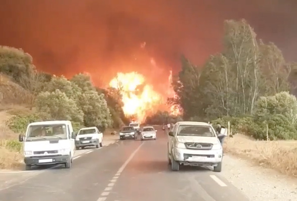 A fire in Algeria has killed 42 people, including 25 military personnel