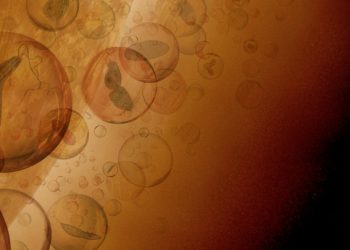 In the clouds of Venus there may be a hitherto unknown kind of life