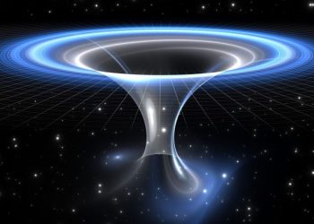 Worm holes might solve one of the well-known paradoxes of black holes