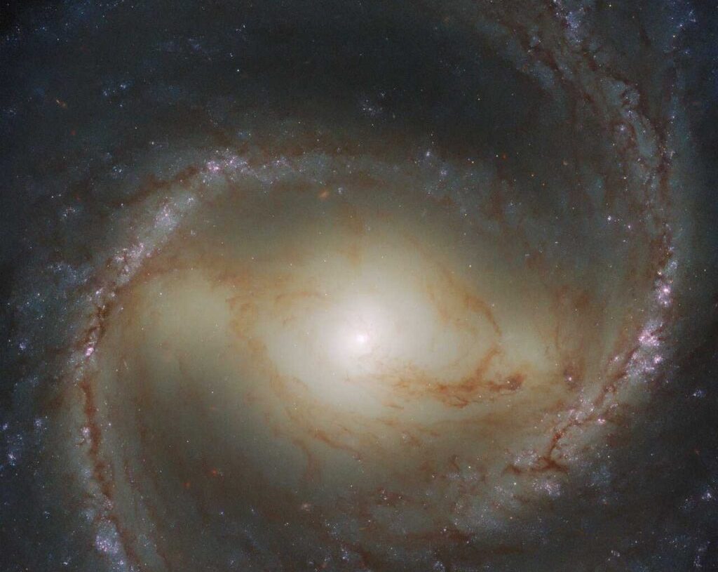 spiral galaxy