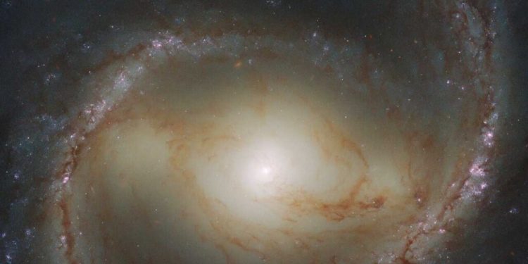 Hubble photographed another distant spiral galaxy Hubble photographed another distant spiral galaxy