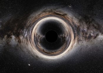 The discovery of a black hole wandering in our galaxy has probably been confirmed