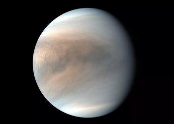 (Video) A mystery of sulfur clouds of Venus may be solved by new computer model