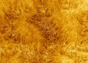 We have never seen the Sun like this before – the most powerful telescope took new photos of our star