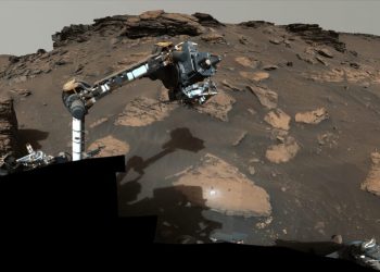 NASA’s Perseverance Rover has discovered a large amount of organic material on Mars