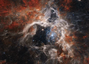 James Webb photographed the Tarantula Nebula in unprecedented detail