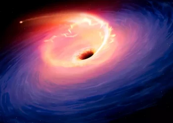 Black hole announces itself to astronomers by violently ripping apart a star