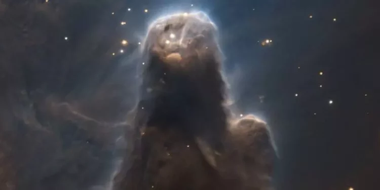 This Stunning Dark Nebula Looks Like a Cosmic Sentinel Watching The Stars This Stunning Dark Nebula Looks Like a Cosmic Sentinel Watching The Stars