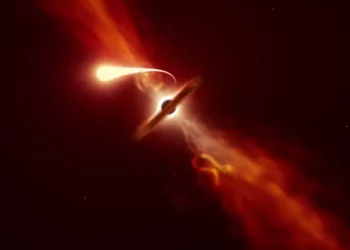 Star survives spaghettification by black hole