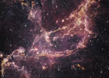 James Webb Space Telescope uncovers starbirth clues at ‘cosmic noon’ for 33,000 young stars