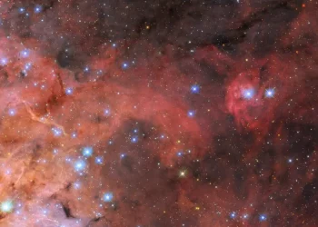 Bright blue stars crawl among Tarantula Nebula clouds in Hubble telescope photo