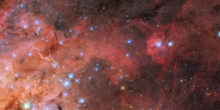 Bright blue stars crawl among Tarantula Nebula clouds in Hubble telescope photo Bright blue stars crawl among Tarantula Nebula clouds in Hubble telescope photo