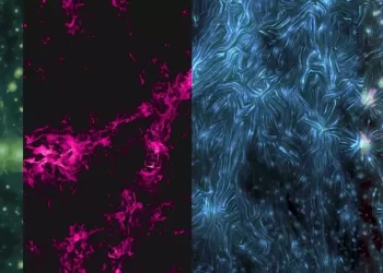 Astronomers Have Detected Signs of The Largest Magnetic Fields in The Universe