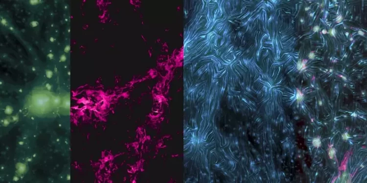 Astronomers Have Detected Signs of The Largest Magnetic Fields in The Universe Astronomers Have Detected Signs of The Largest Magnetic Fields in The Universe