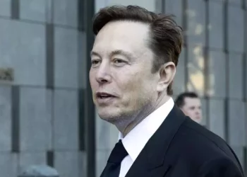 Musk Is Worried About Himself. So Is His Mom
