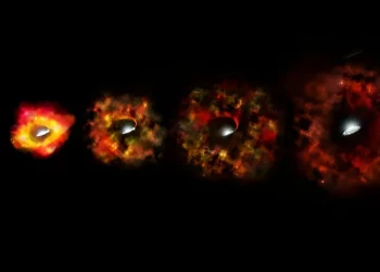 Astronomers watched a massive star disappear. JWST might have some answers