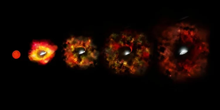 Astronomers watched a massive star disappear. JWST might have some answers Astronomers watched a massive star disappear. JWST might have some answers