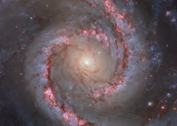 Hubble Telescope sees spiral galaxy dancing through the Dorado constellation (image)
