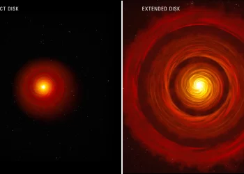Webb findings support long-proposed process of planet formation