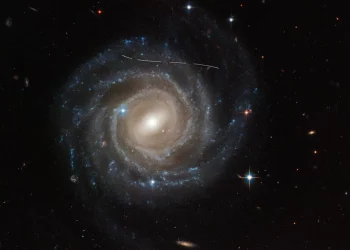 Hubble goes hunting for small main belt asteroids
