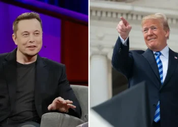 Elon Musk endorses Donald Trump shortly after ex-president injured by shots fired at rally